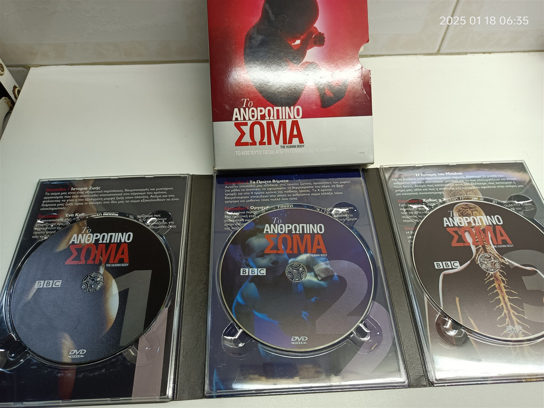 Human Body (2000 x 1500)