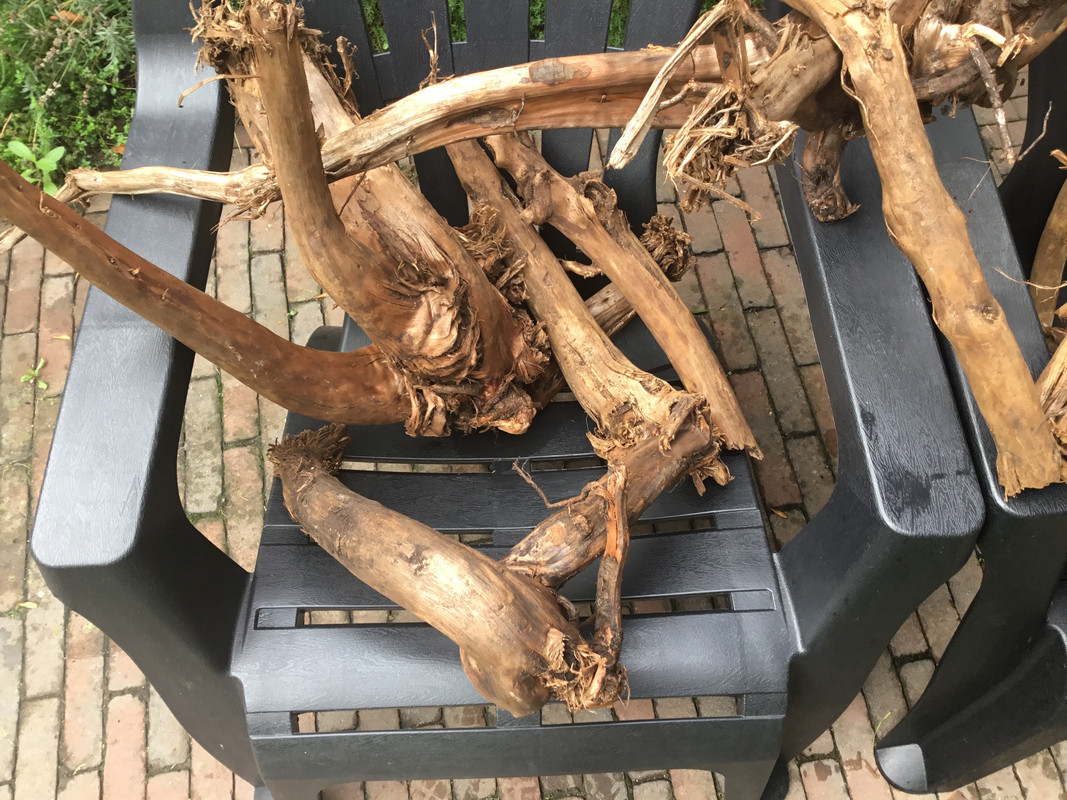 95950DAC-127F-4297-9762-224358ADAEF5