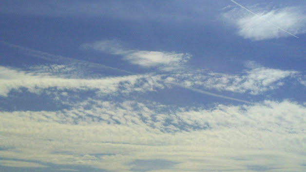 IMG-2019-05-22-135018-BURST1.jpg