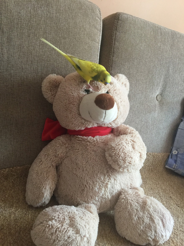 80D07523-25B0-4936-83B5-ED6BC367D988