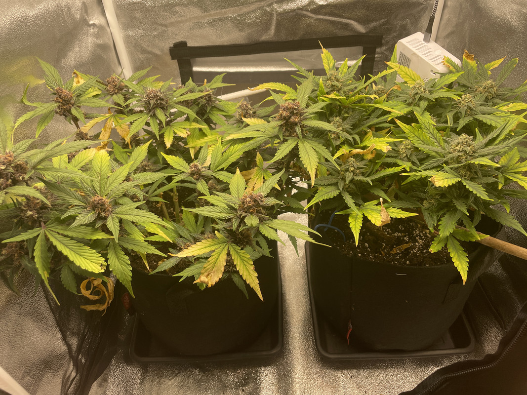 B4B88F62-A7C3-466A-A0BC-C33B7D27A9D8