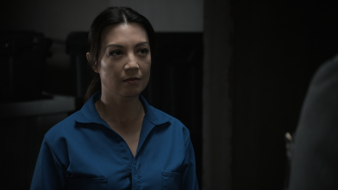Marvel's.Agents.of.S.H.I.E.L.D.S07E06.Adapt.or.Die.1080p.10bit.AMZN.WEB-DL.AAC5.1.HEVC-Vyndros.mkv_s