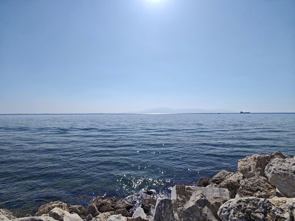 IMG 20260315 110606
