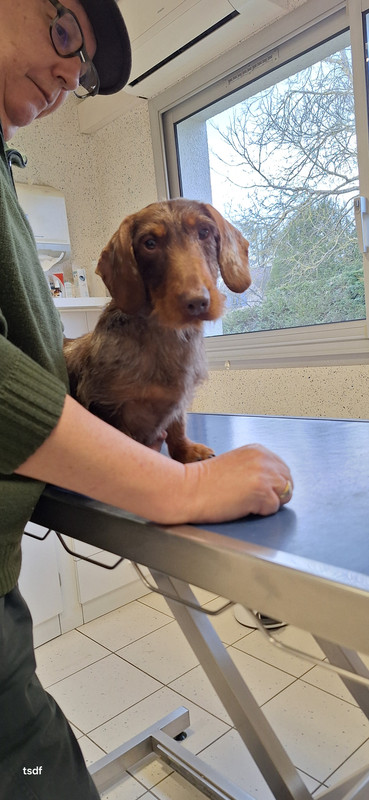 [Image: 20250314-175102.jpg]