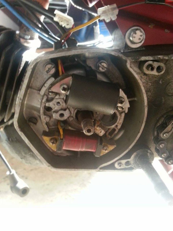 10255391_10203292213523863_1279562900_n