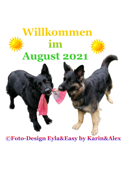 An den Beitrag angehängtes Bild: https://i.postimg.cc/7LTDy1Qs/Willkommen-im-August-2021.png