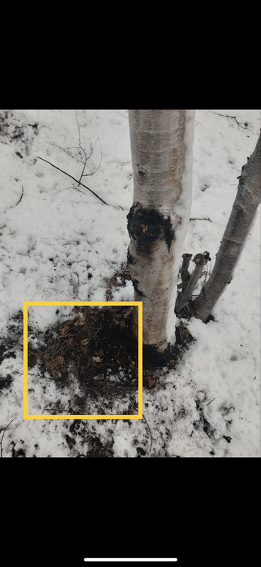 7070EE95 EAA7 4091 901A B03E7B3366BF