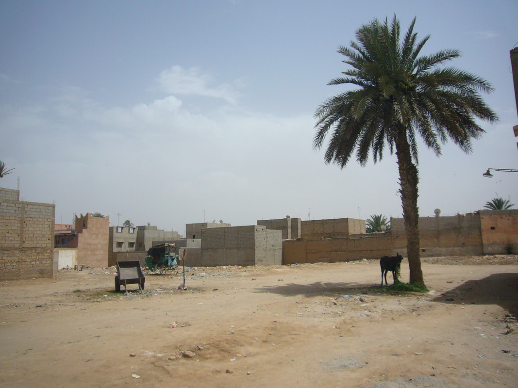 Historia : Taroudant, la ciudad rebelde, Ciudad-Marruecos (11)