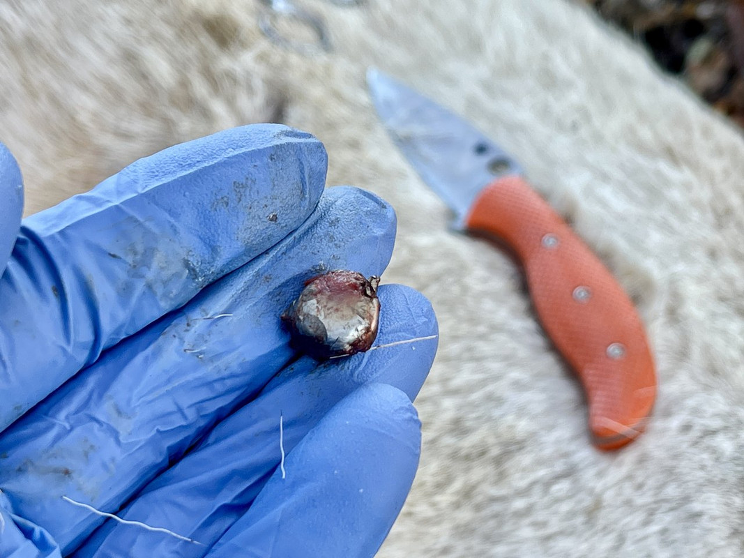 864DF539-FEB3-4839-806C-B4F432E5970D