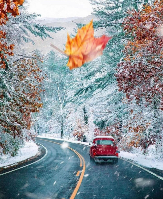 Screenshot_20231124_192822_Instagram