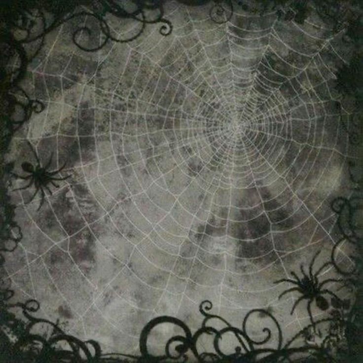 Tumblr l 502344527569463