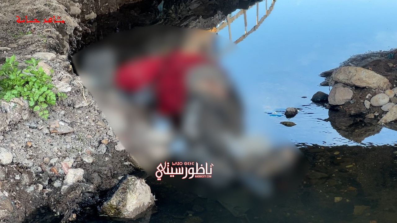 Sequence-01-00-00-15-10-Still004