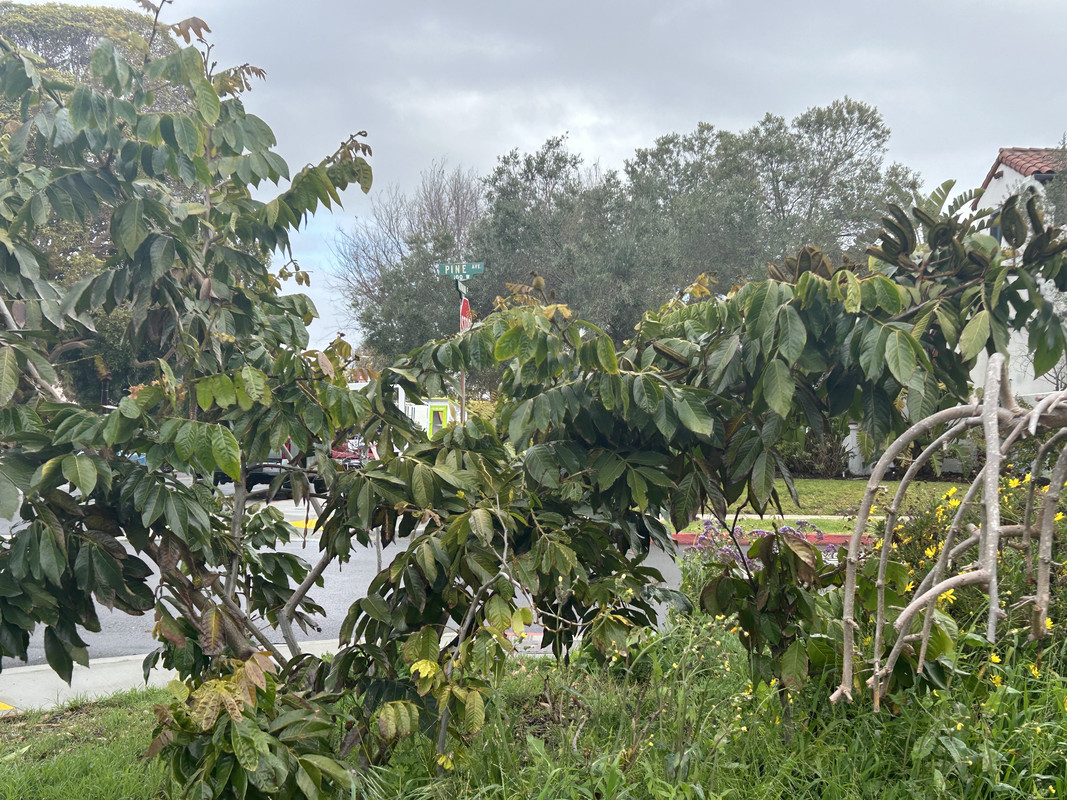 D7C7D53F-0825-4087-9DB4-219BA9007490