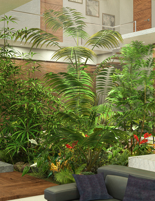 Tropical Palms Volume 2 - Dwarf and Small Palm Trees Tropical Palms Volume 2 - Dwarf and Small Palm Trees