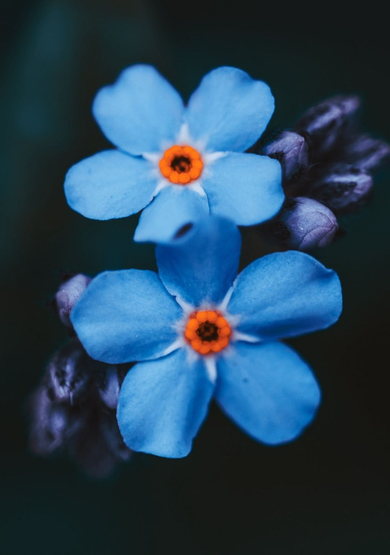 Screenshot_20240427_001837_Threads