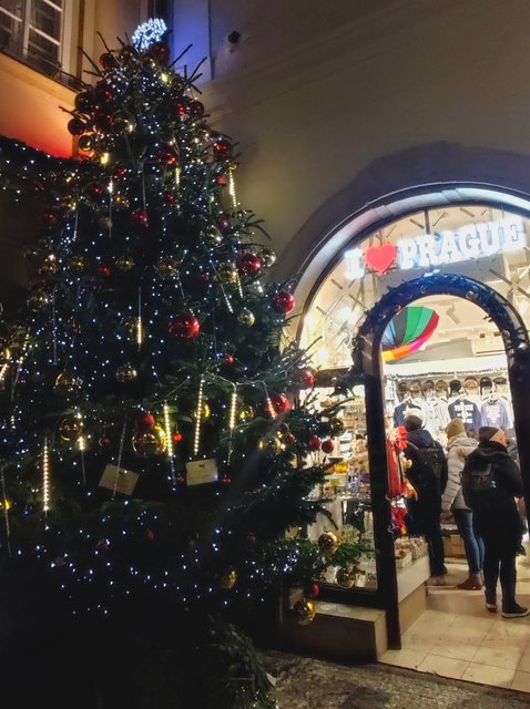 La pinacoteca del Castillo, la Galería Nacional y más Mercados de Navidad - Viena - Bratislava - Praga, Navidad 2024 (155)