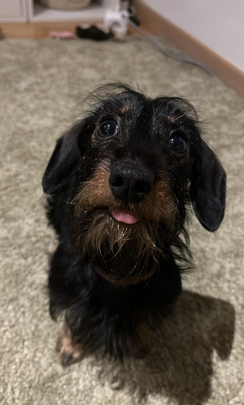 [Image: IMG-4095.jpg]