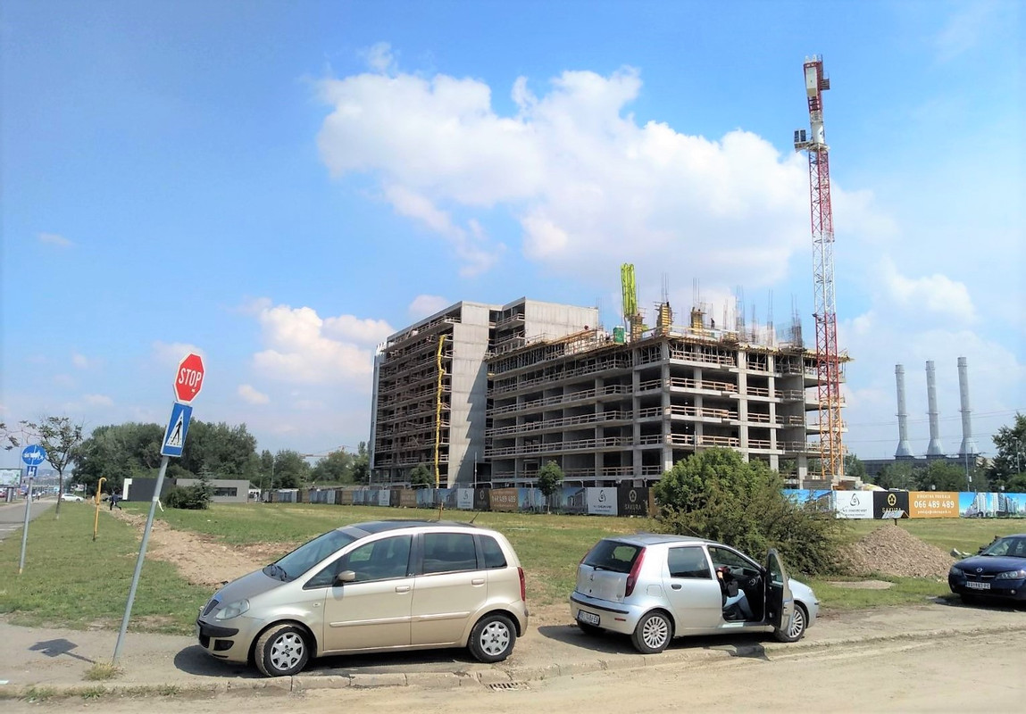 Сакура1 2020-06-09