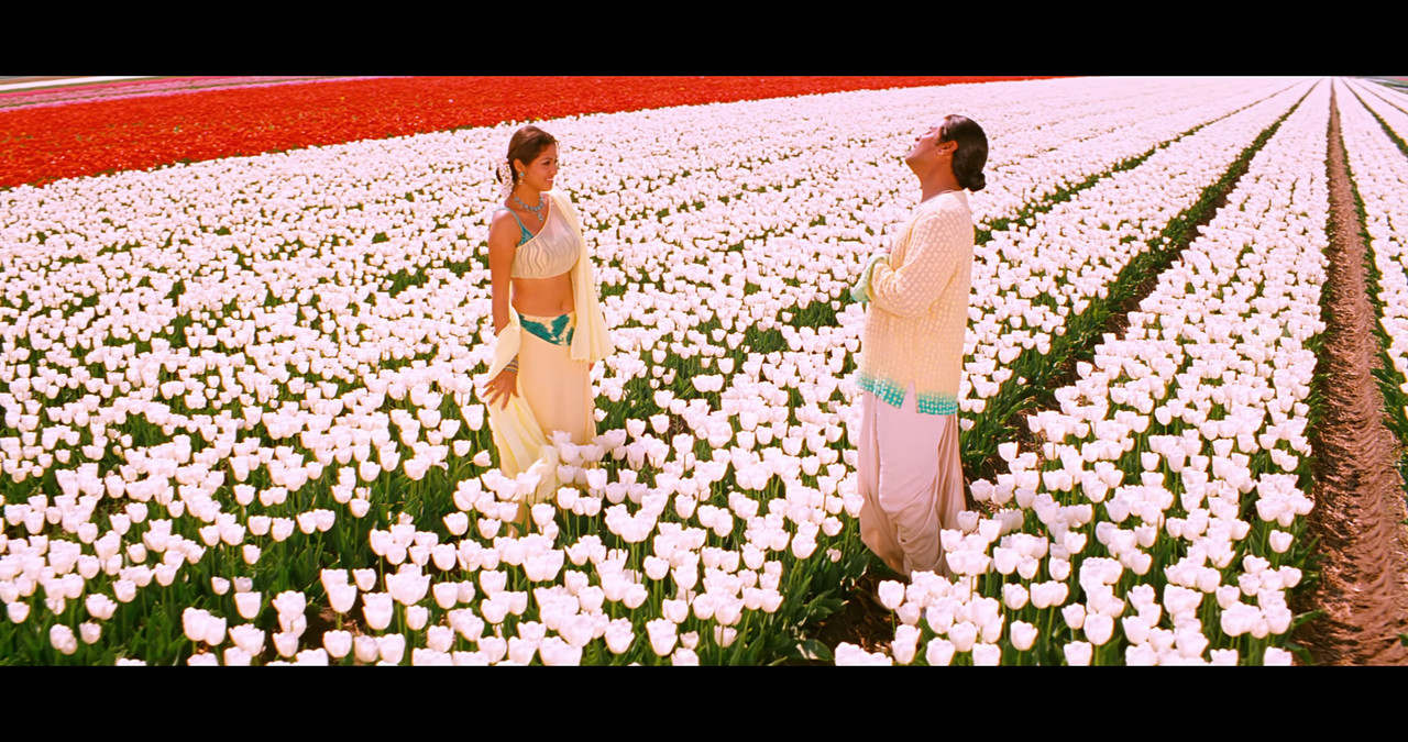 VideoCapture_20241122-195648