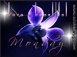 S-Monday-23.jpg