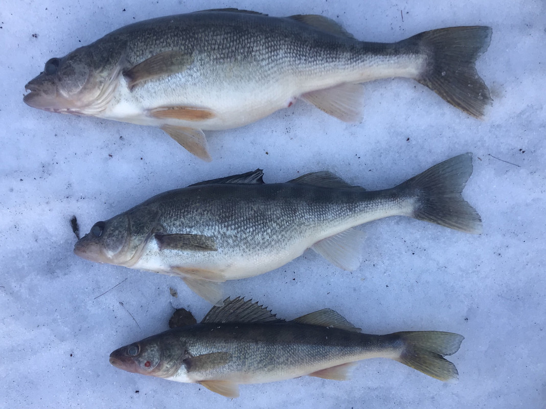 0A8A1F35-1726-4B93-AB3D-8F8336FBEDA0