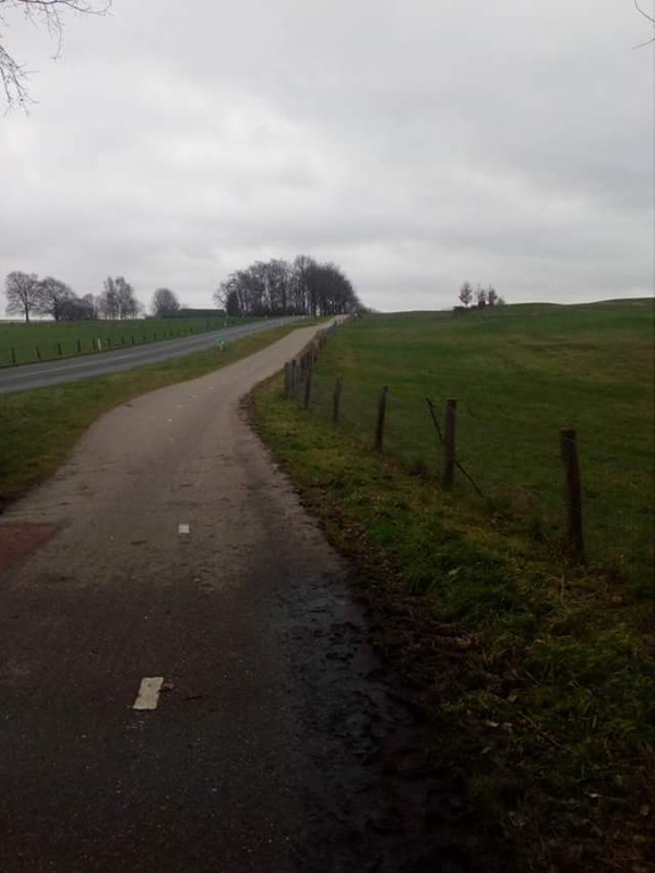 FB_IMG_1517156243848