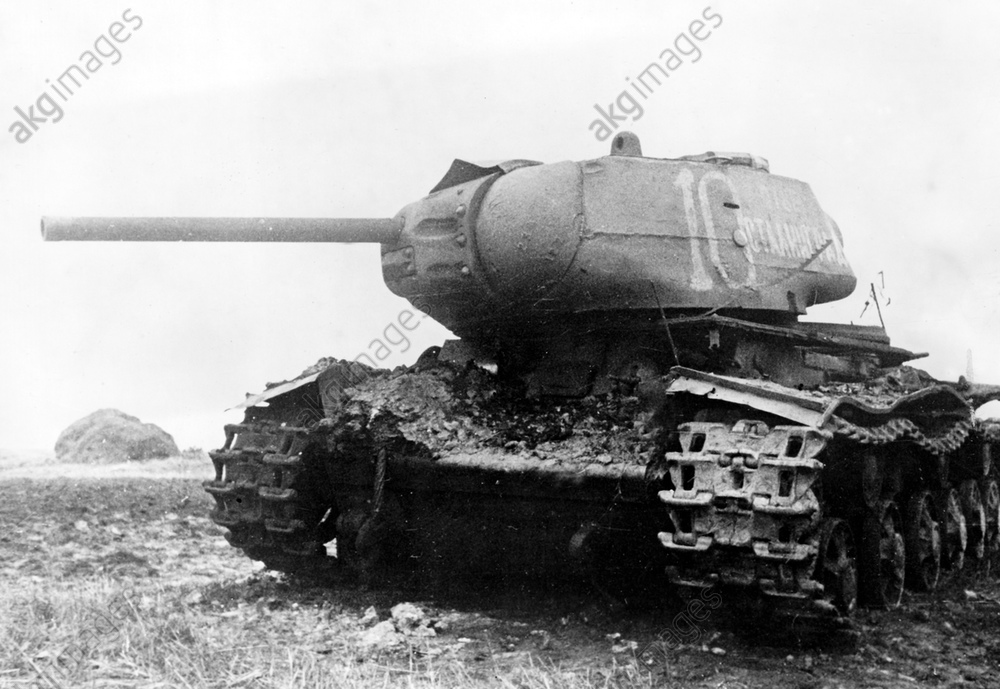 Ноябрь 1943. ?айон Гомеля.