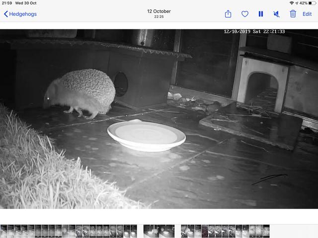 D07B6DD2-469A-4295-9A15-4AEDADC4F076