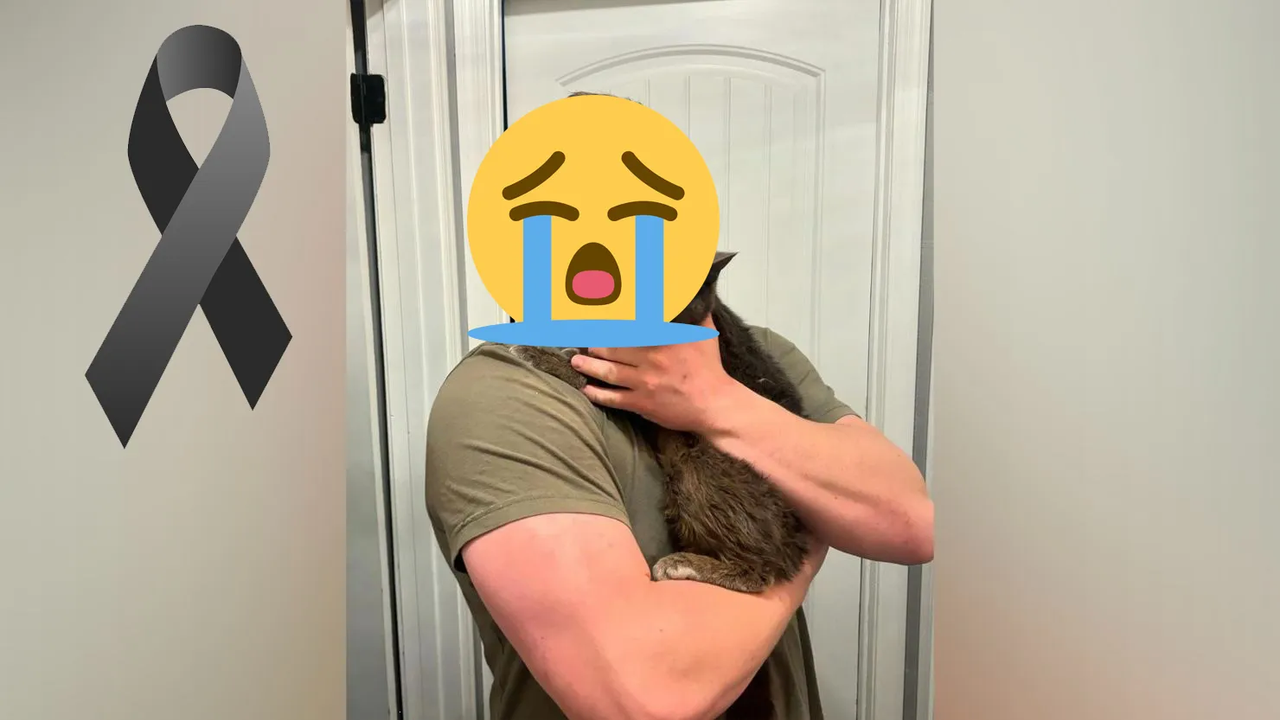 ¡Tragedia en la TV! Joven estrella de reality shows es encontrado sin vida en su casa