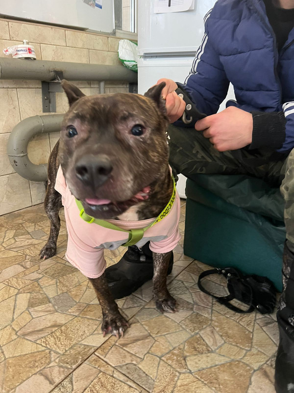 WhatsApp Image 2024-01-16 at 11.07.49 (2)