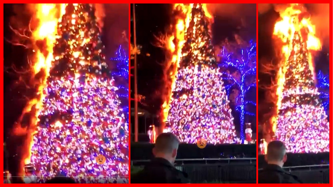 Hombre escala y quema un enorme Árbol de Navidad ubicado en Manhattan