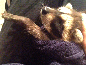 tumblr-nx000k2es-U1s02vreo4-400.gif