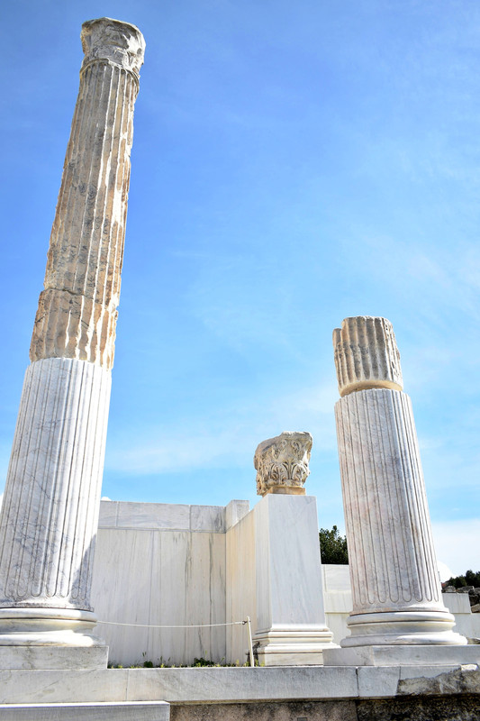 Βιβλιοθήκη του Αδριανού (2)