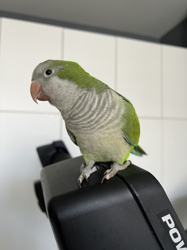 45E5C91B-5C8F-46BC-850C-CE67942C67AB