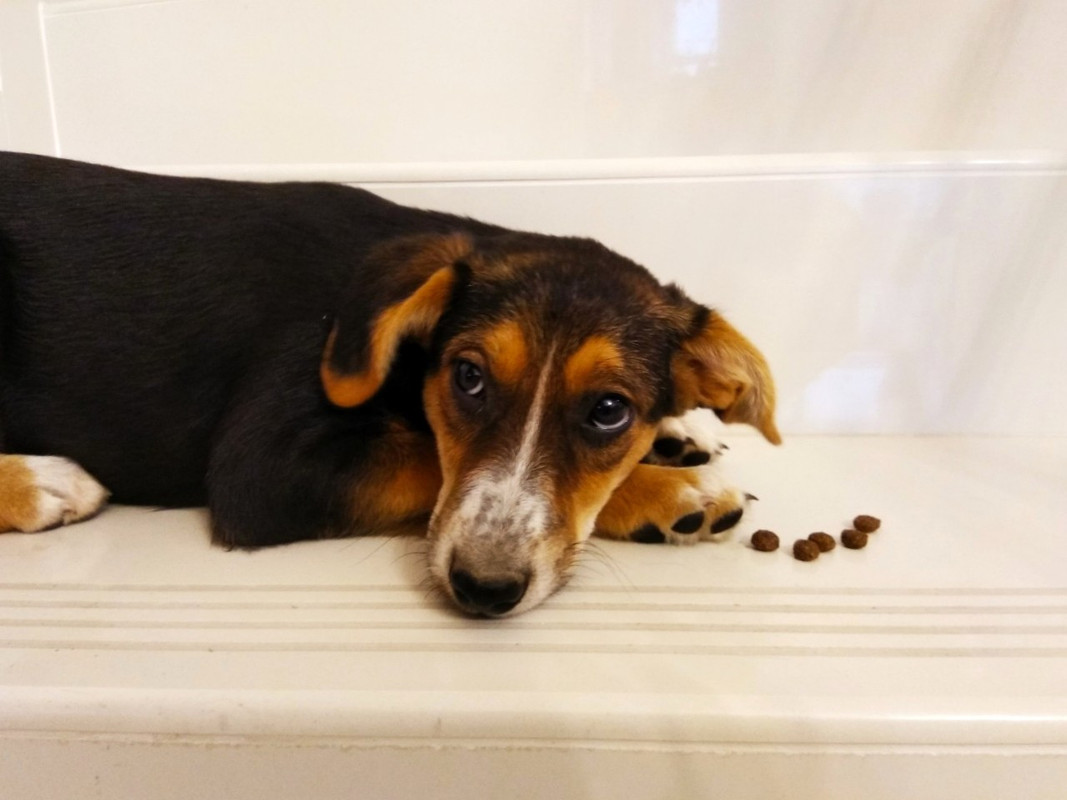 изображение_viber_2019-09-21_17-38-37