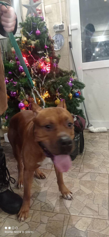 WhatsApp Image 2024-01-11 at 21.24.27 (1)