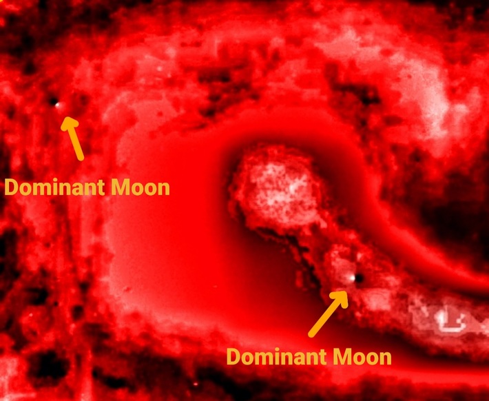 Screenshot_20211212-145129_Snap Markup