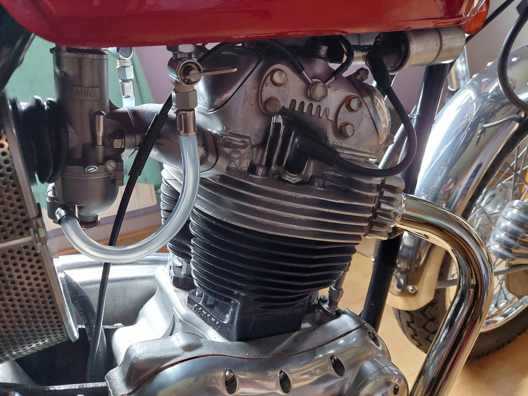 What Did You Do With Your Commando Today?