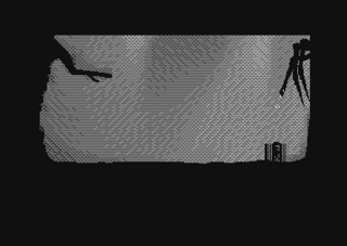 66