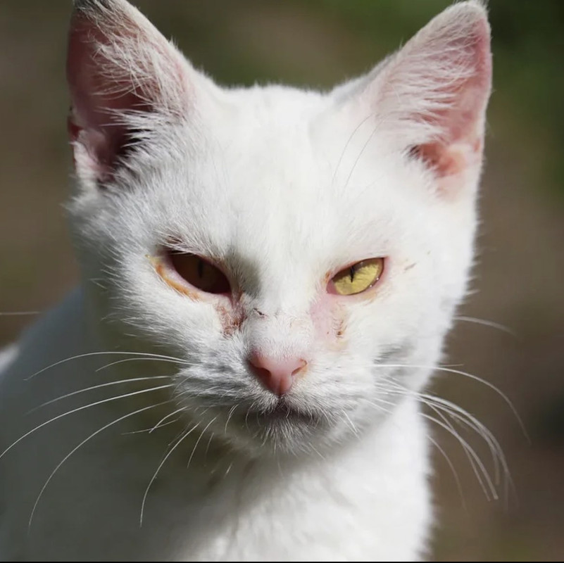 60E020B6-DB62-4010-A9CE-136339D7CC34