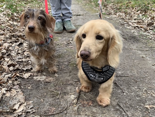 [Image: IMG-7855.jpg]