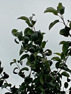 IMG-20240810-114906