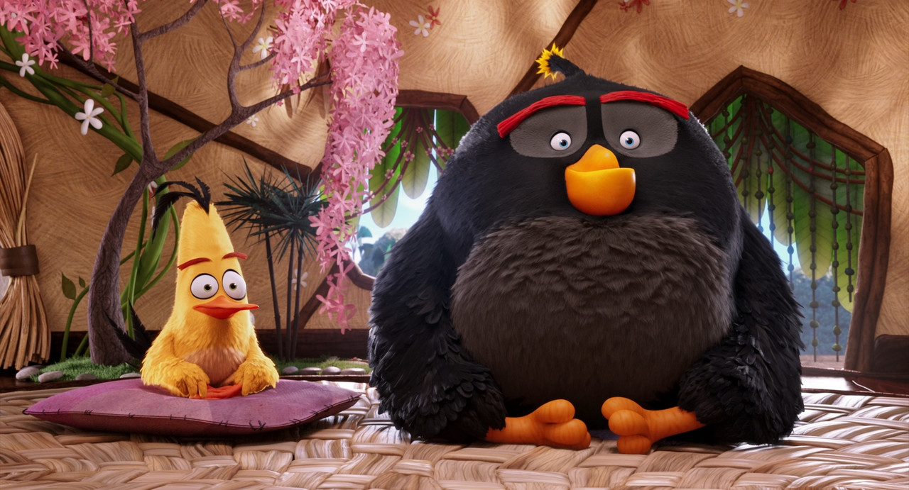 The Angry Birds Movie (2016).mkv_snapshot_00.14.52_[2018.03.25_2