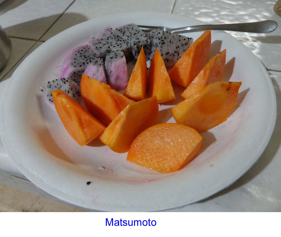 My-Matsumoto-Persimmon2(1)