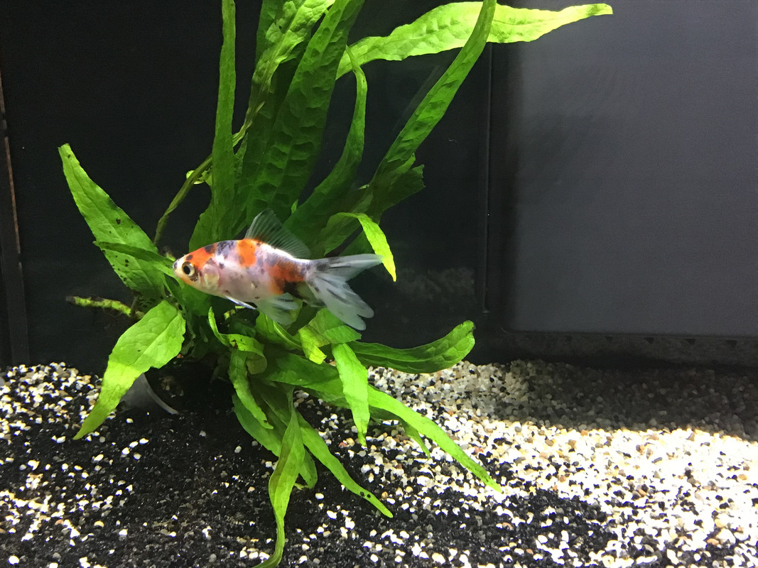 0D5638A2-3115-487A-BA6B-15FAED03BAB7