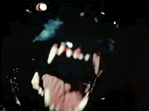 IMG-8860.gif