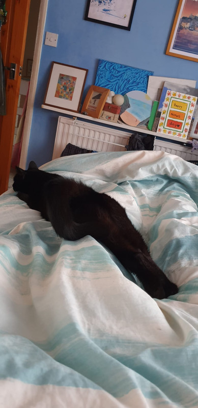 1B110057-9920-49AF-9829-1339B70E6112