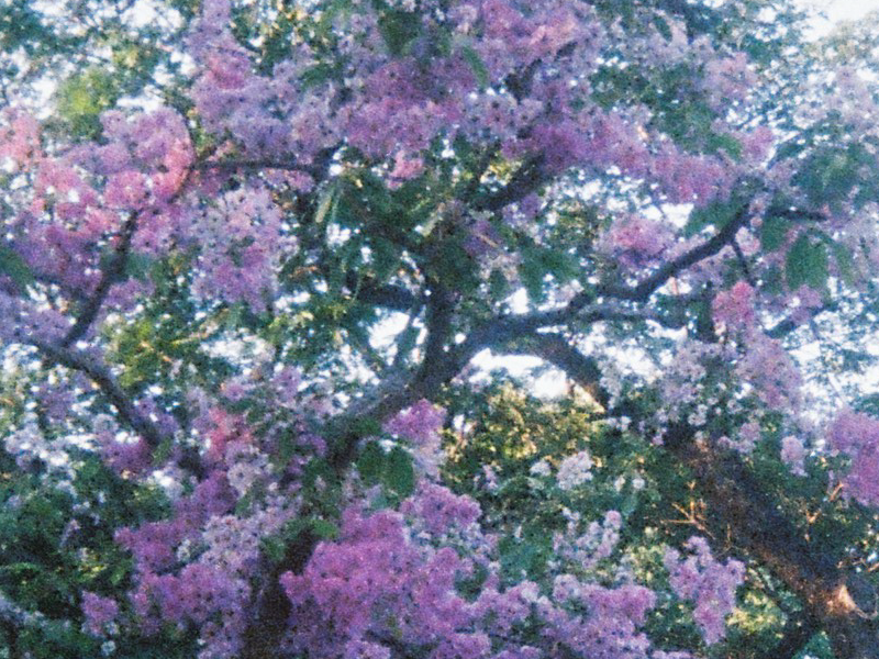 Kodak-UMHF-110-crop