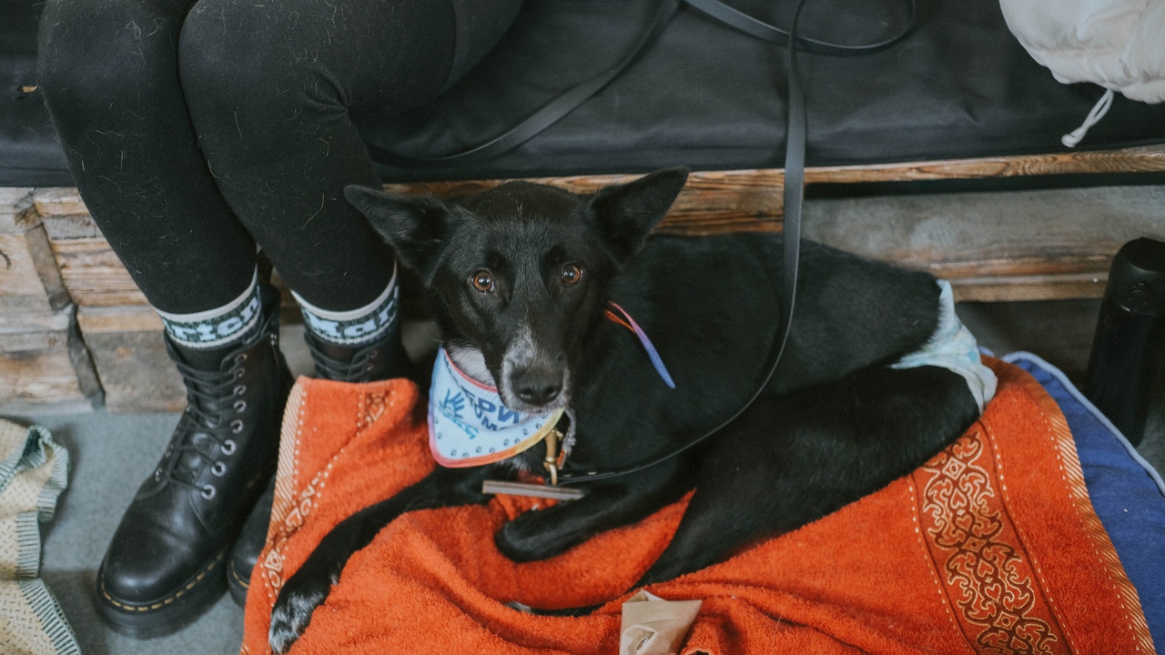 4BC09F5B-68B1-4A54-905A-AB31885FEC87