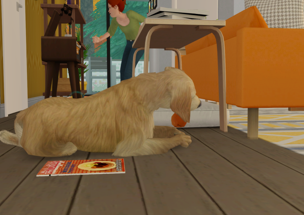 Sims2-EP9-RPC-2022-02-06-14-13-19-94